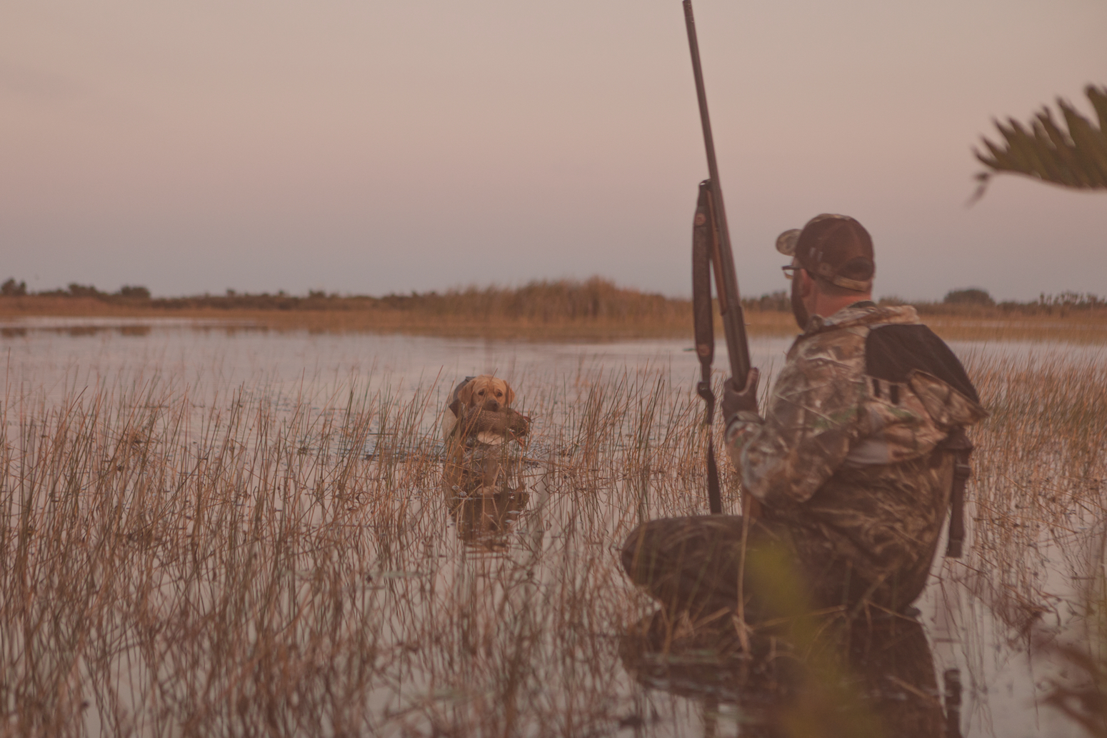 Florida-Outdoor-Expo_Duck-Hunting-with-Dog.jpg